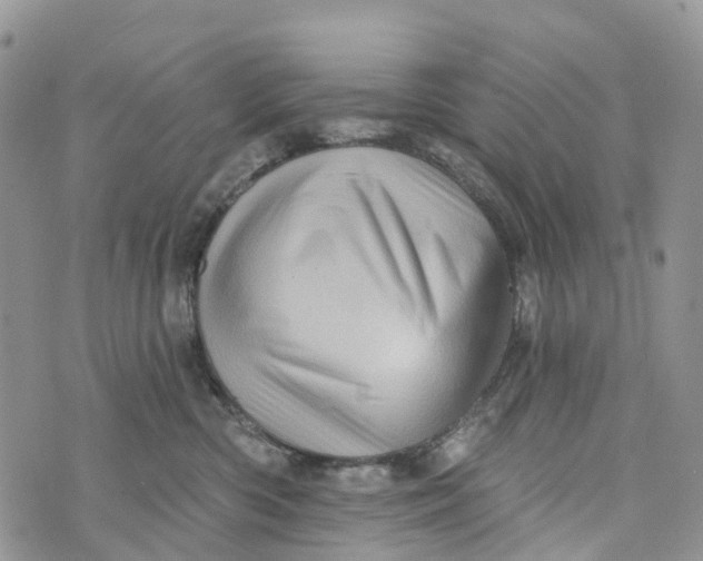 X0000072940426200608111605