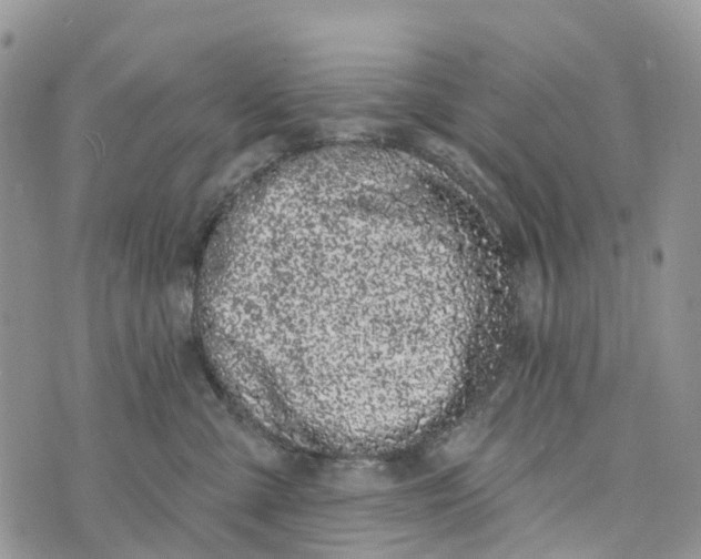 X0000072940427200608111605