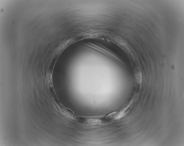 X0000072940429200608111605