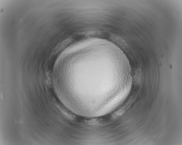 X0000072940430200608111605