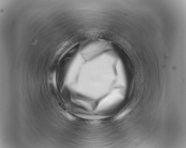 X0000072940432200608111605