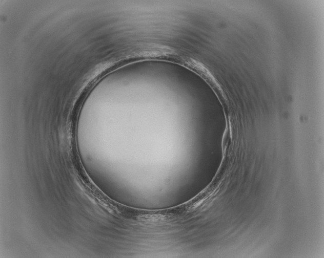 X0000072940435200608111604