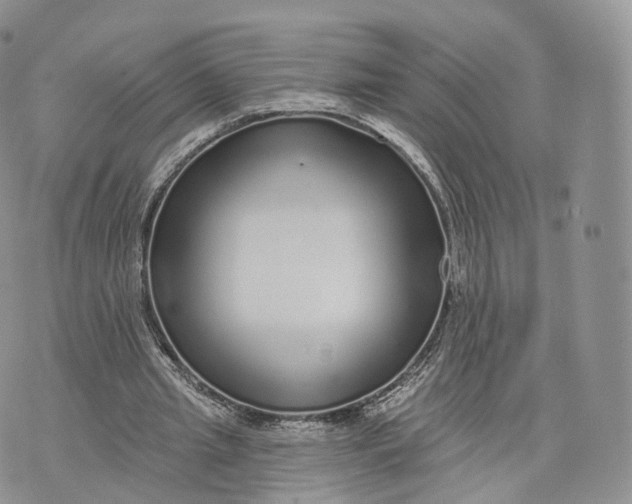 X0000072940437200608111604