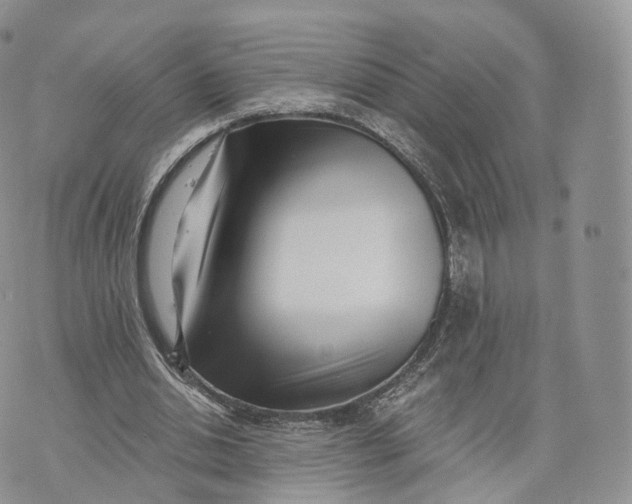 X0000072940438200608111604