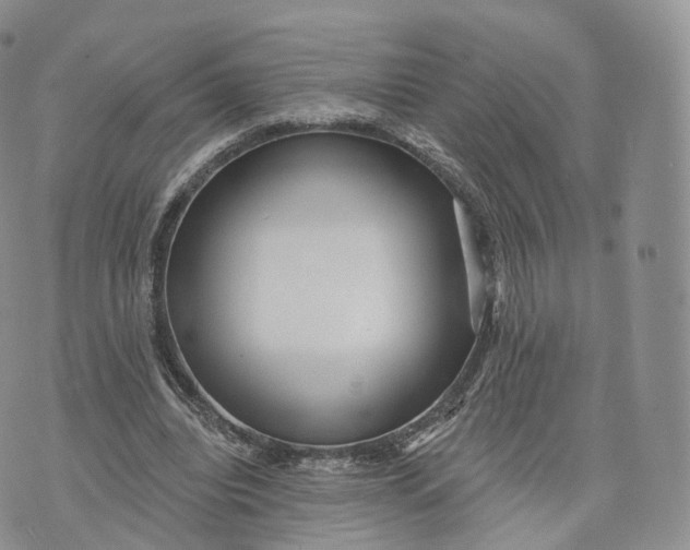 X0000072940440200608111604