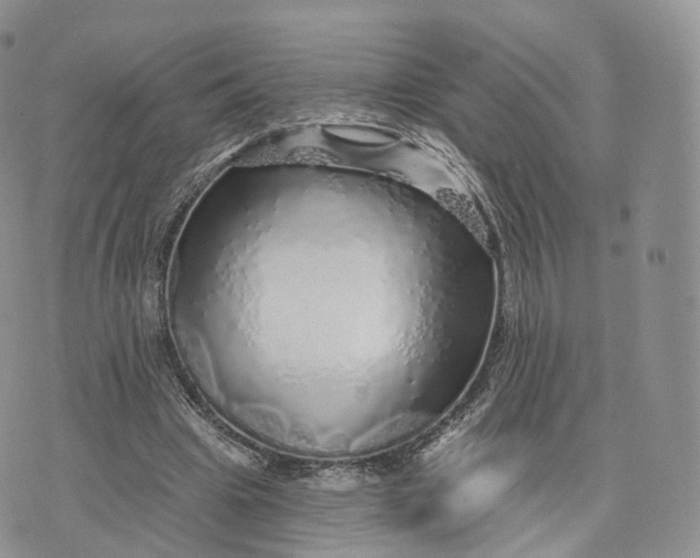 X0000072940441200608111604