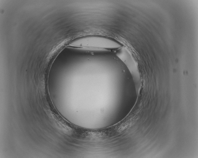 X0000072940442200608111604