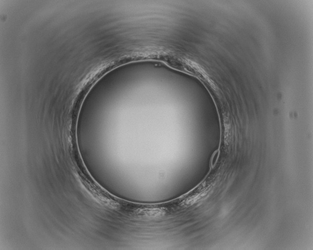 X0000072940443200608111604