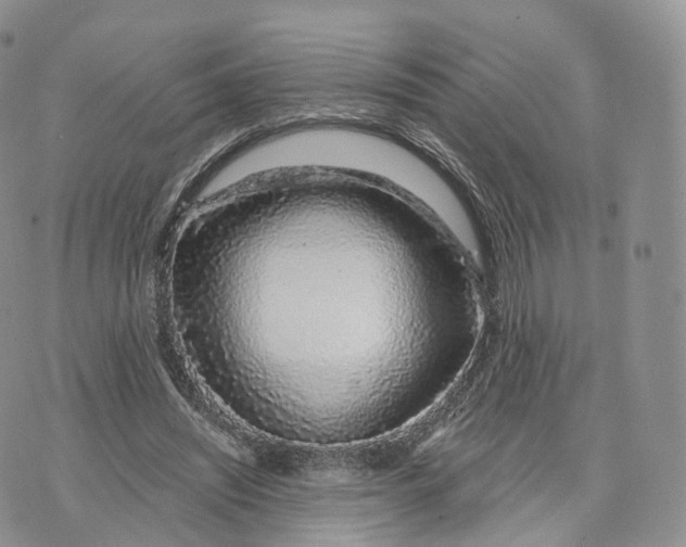 X0000072940444200608111604