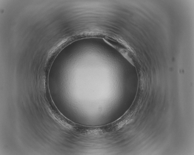 X0000072940446200608111604