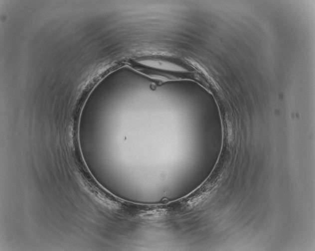 X0000072940447200608111604