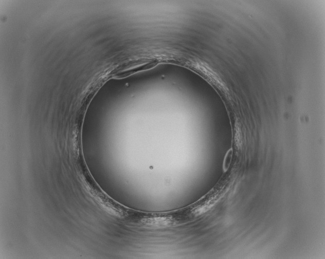 X0000072940449200608111604