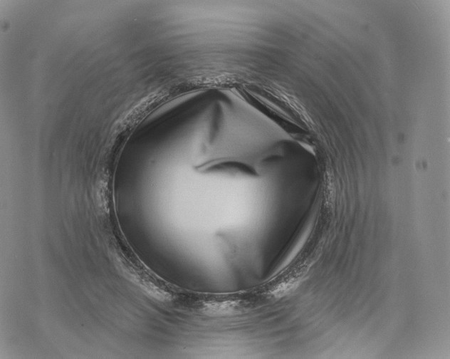 X0000072940450200608111604