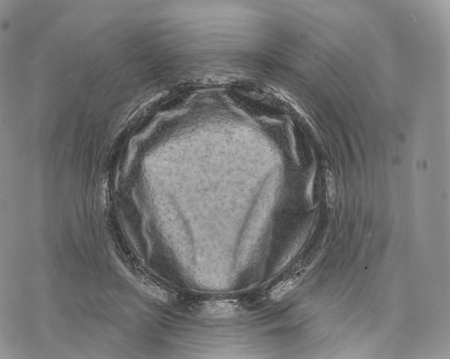 X0000072940451200608111604