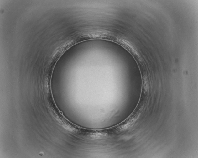 X0000072940453200608111604