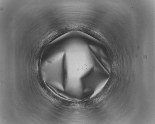 X0000072940454200608111605