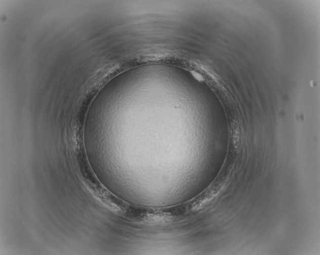 X0000072940455200608111605