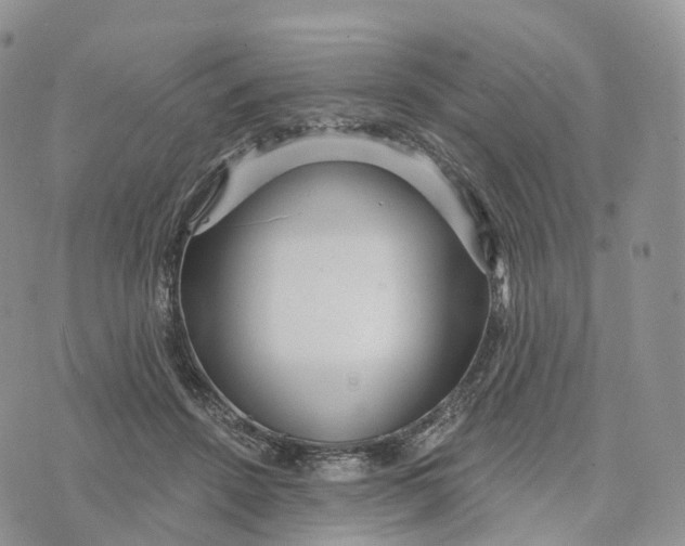 X0000072940456200608111605