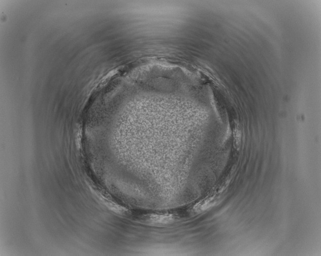 X0000072940458200608111605