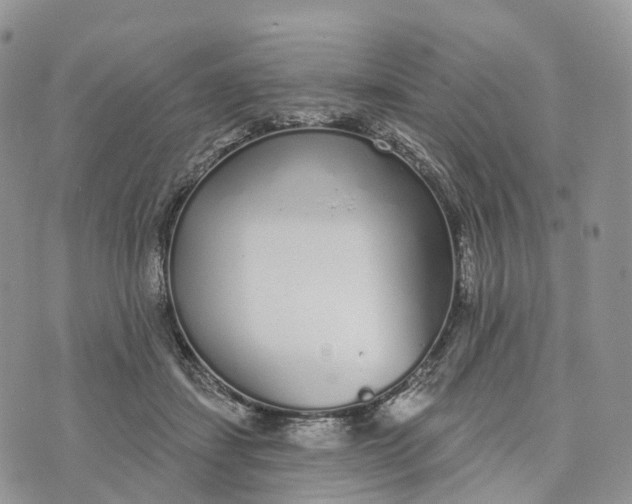 X0000072940459200608111605