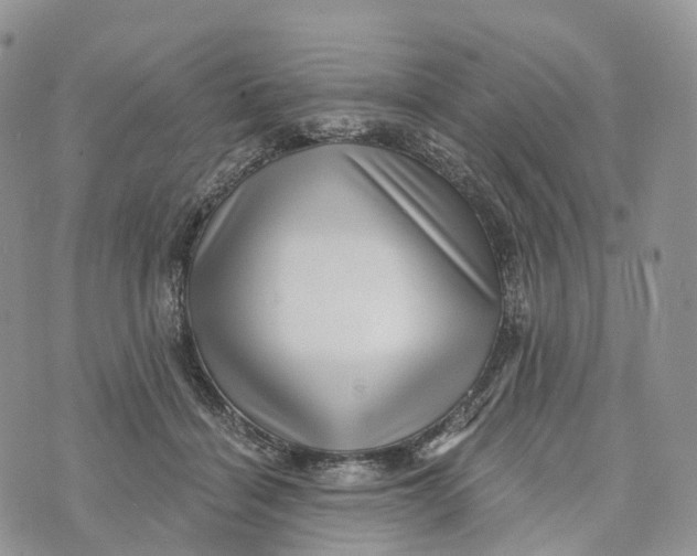 X0000072940460200608111605