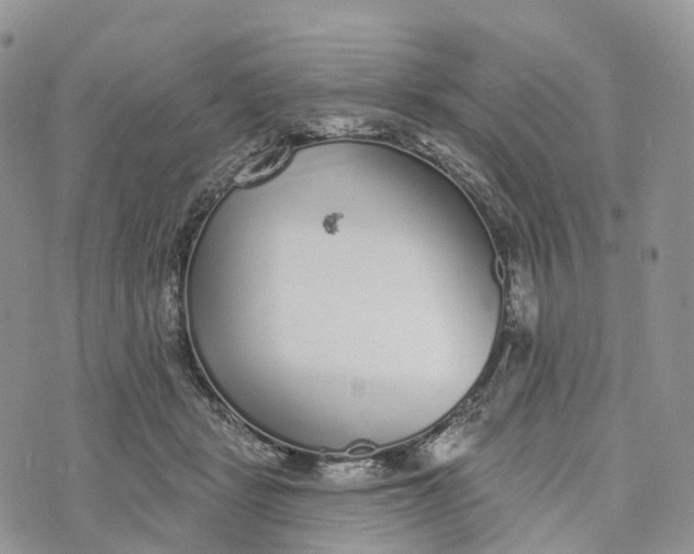 X0000072940461200608111605