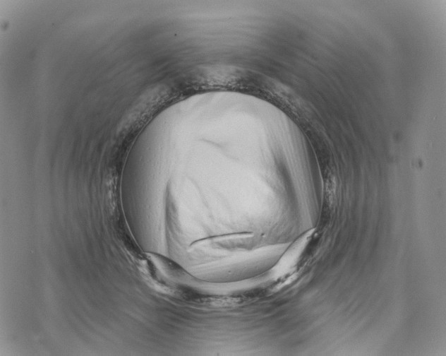 X0000072940462200608111605