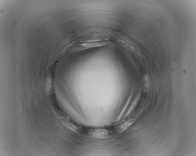 X0000072940463200608111605