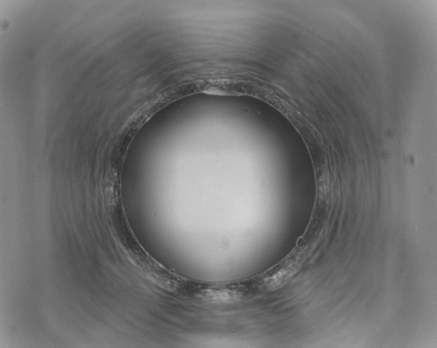 X0000072940464200608111605