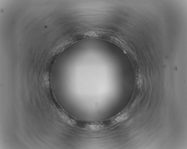 X0000072940466200608111605