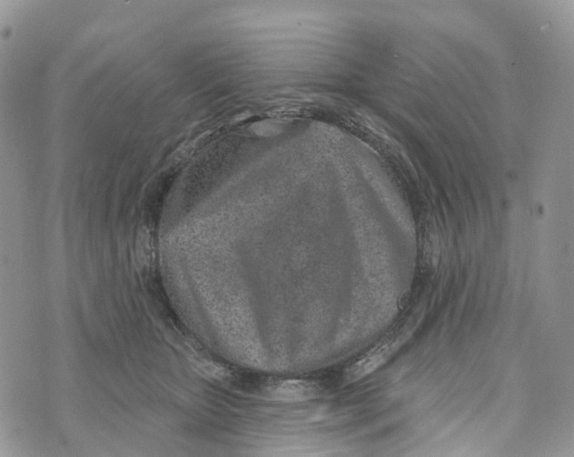 X0000072940467200608111605