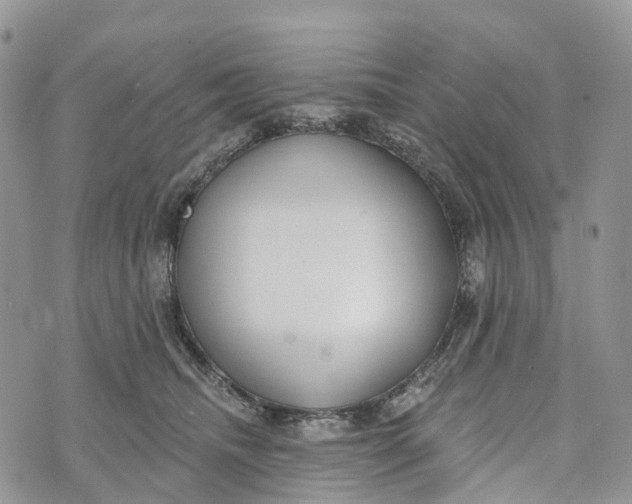 X0000072940468200608111605