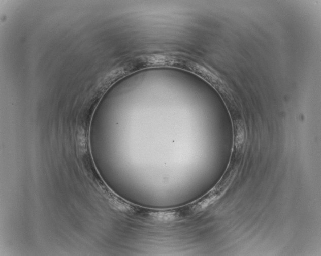 X0000072940469200608111605