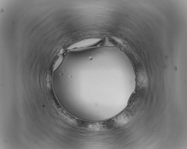 X0000072940470200608111605