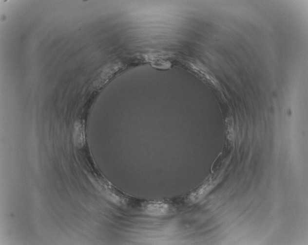 X0000072940471200608111605