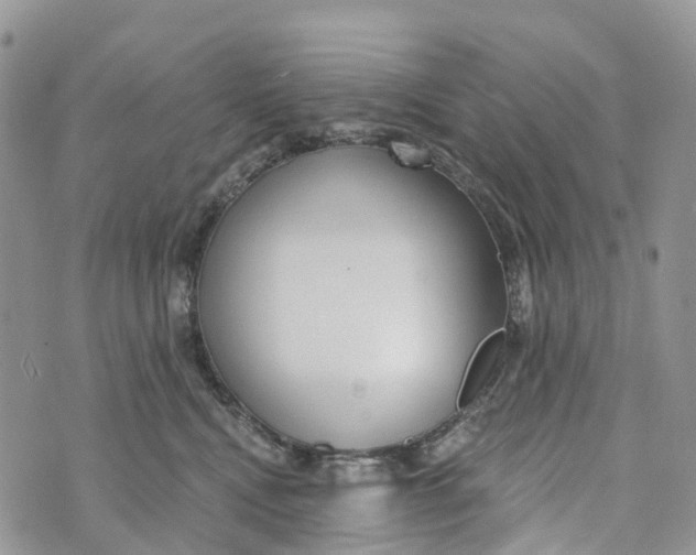 X0000072940472200608111605