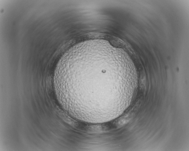 X0000072940473200608111605