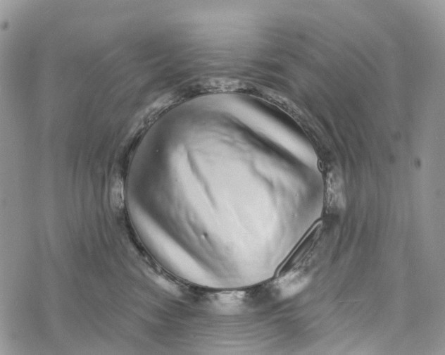 X0000072940474200608111605