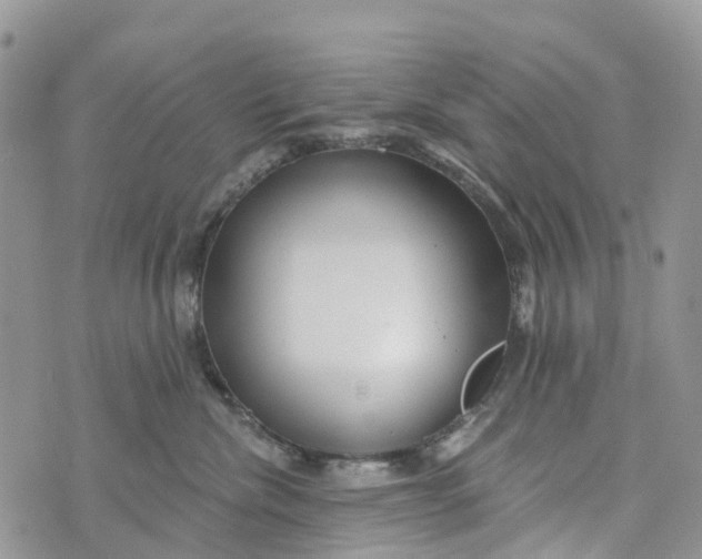 X0000072940476200608111605