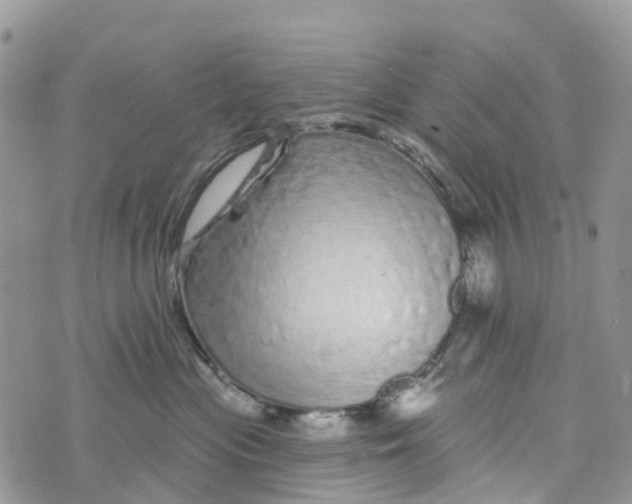 X0000072940477200608111605