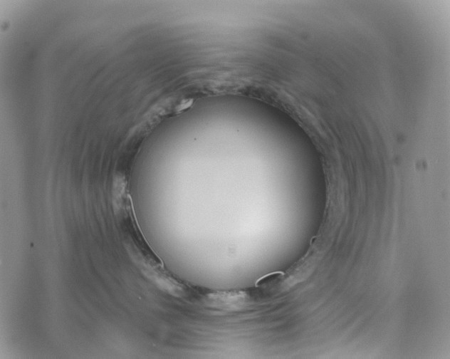 X0000072940480200608111605