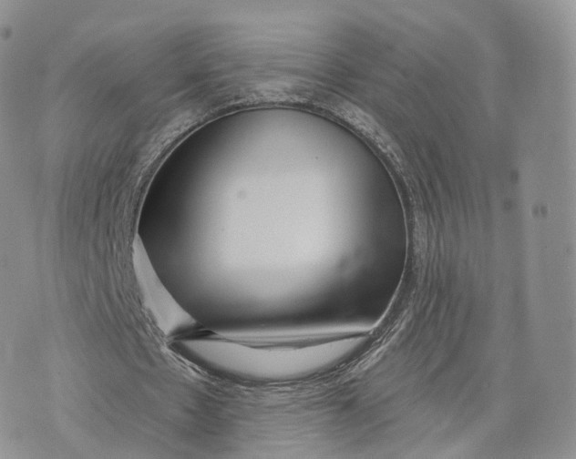 X0000072940481200608111604