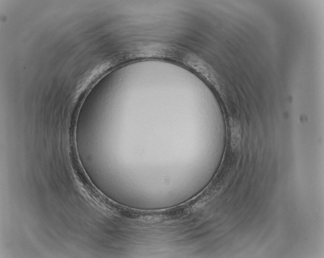 X0000072940482200608111604