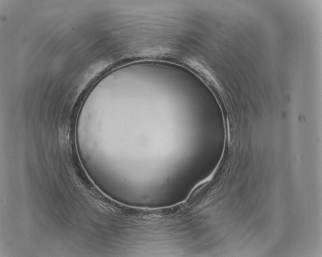 X0000072940483200608111604