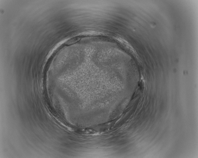 X0000072940484200608111604