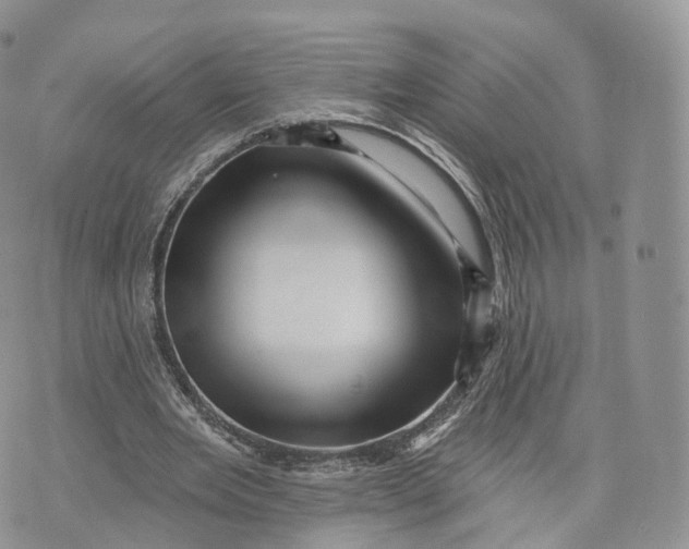 X0000072940485200608111604