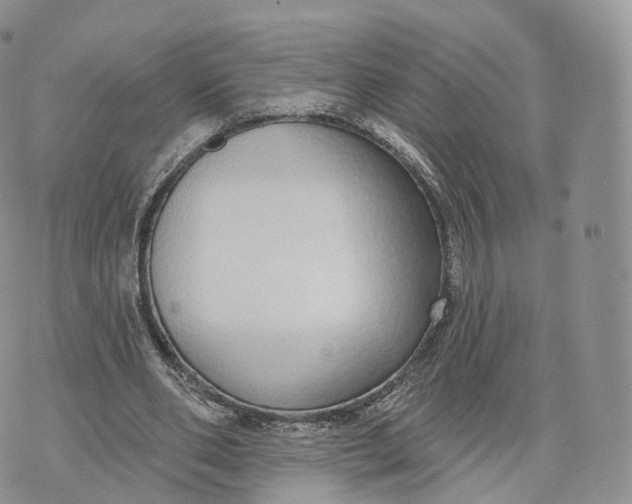 X0000072940486200608111604