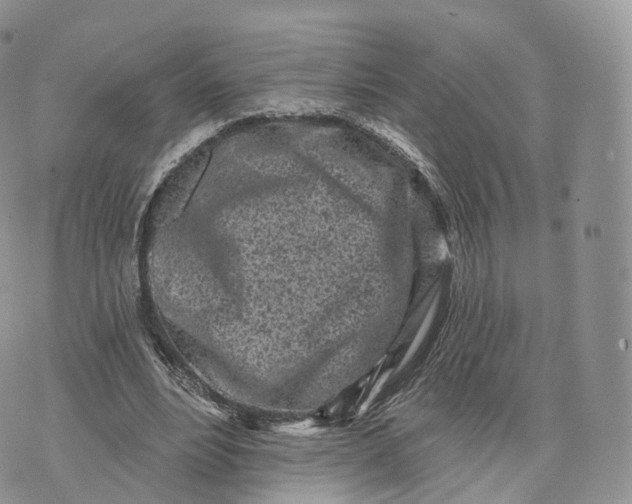 X0000072940488200608111604