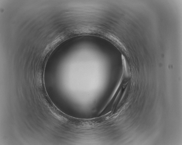 X0000072940489200608111604