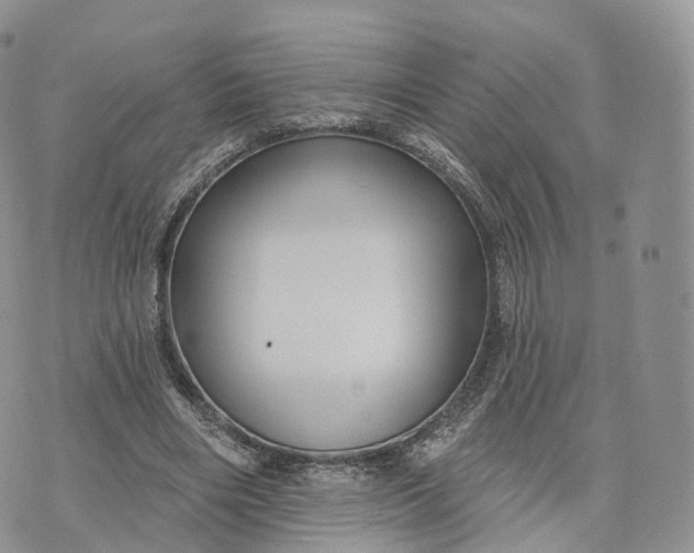 X0000072940490200608111604